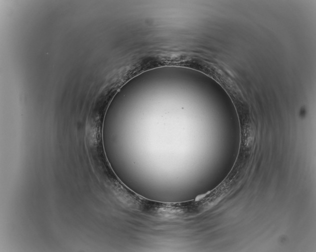 X0000091060515200708131133