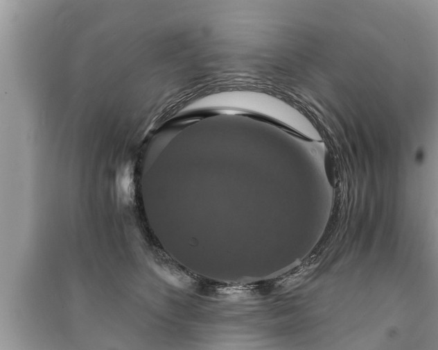X0000091060516200708131133