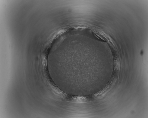 X0000091060517200708131133