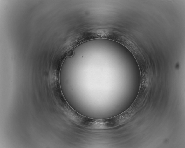 X0000091060518200708131133