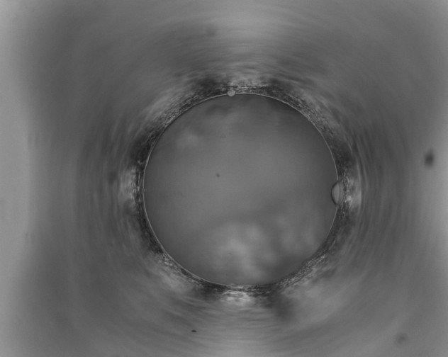 X0000091060519200708131133