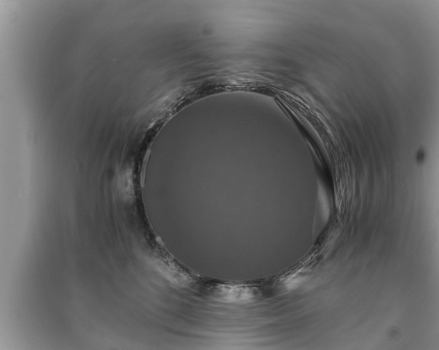 X0000091060520200708131133