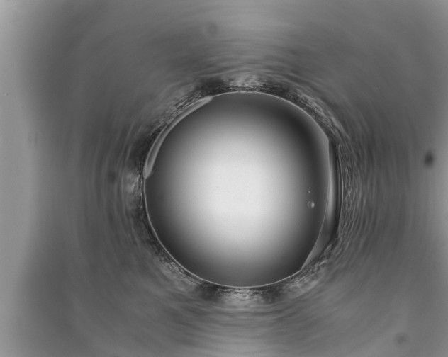 X0000091060521200708131133