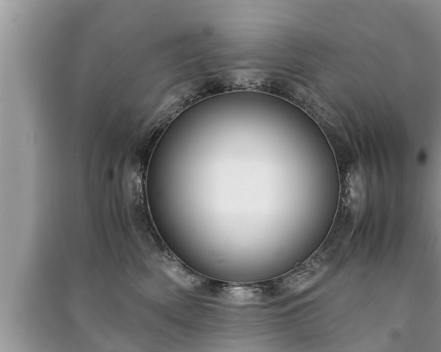 X0000091060522200708131133