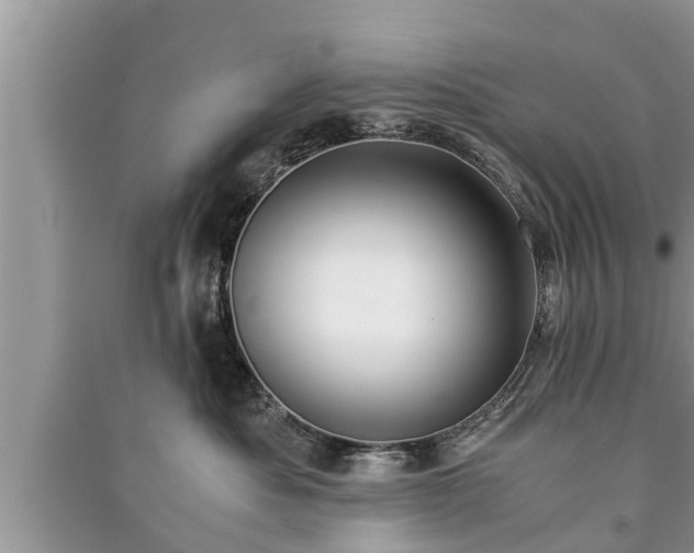 X0000091060525200708131133