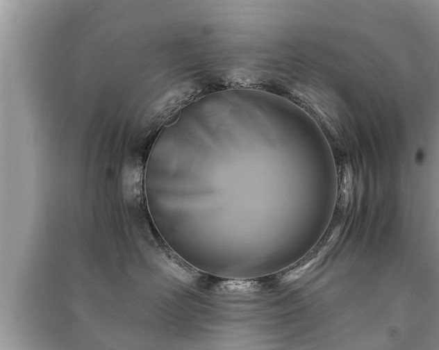 X0000091060526200708131133