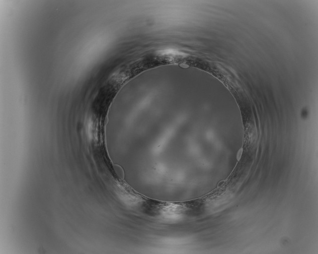 X0000091060527200708131133