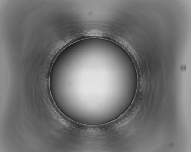 X0000091060529200708131132