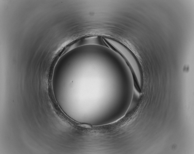 X0000091060530200708131132