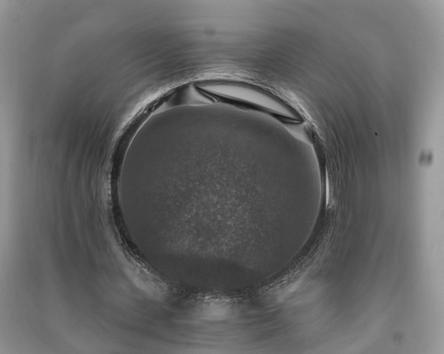 X0000091060531200708131132