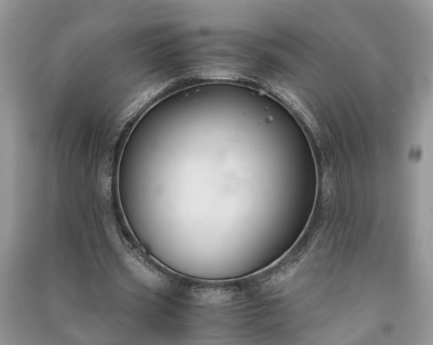 X0000091060533200708131132
