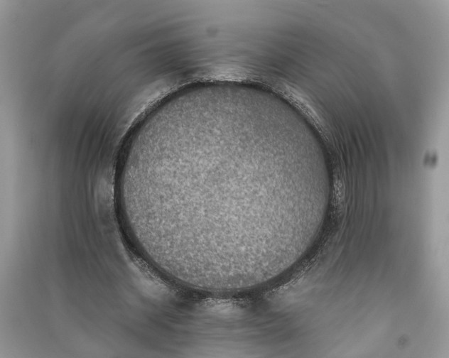 X0000091060534200708131132
