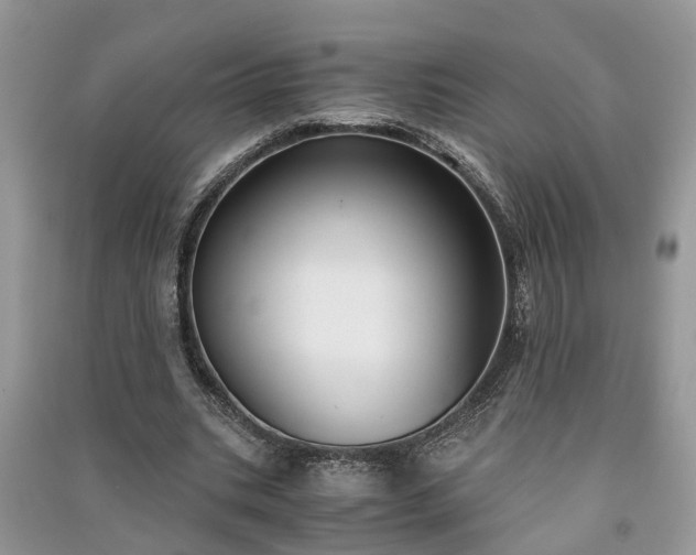 X0000091060535200708131132