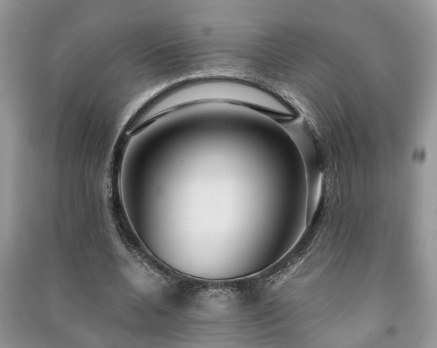 X0000091060536200708131132