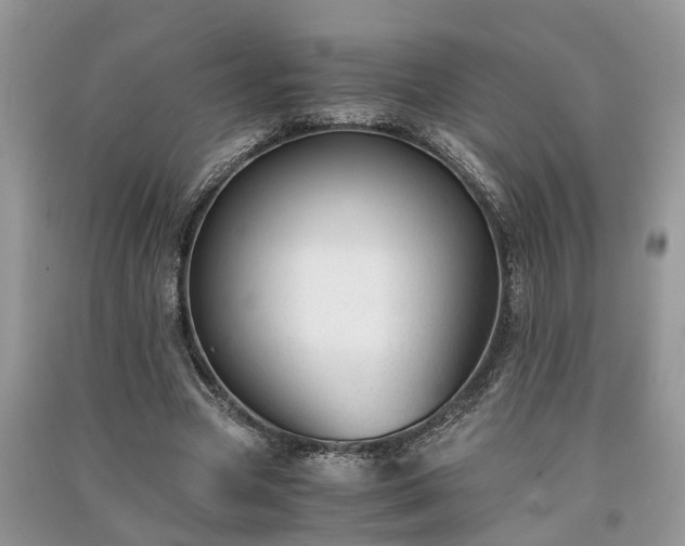 X0000091060537200708131132