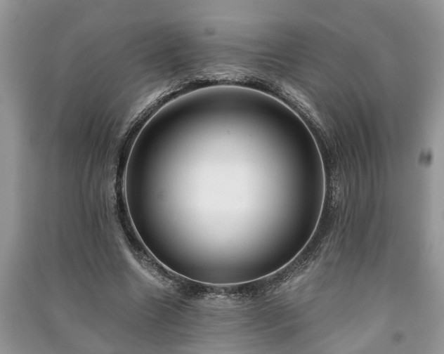 X0000091060538200708131132