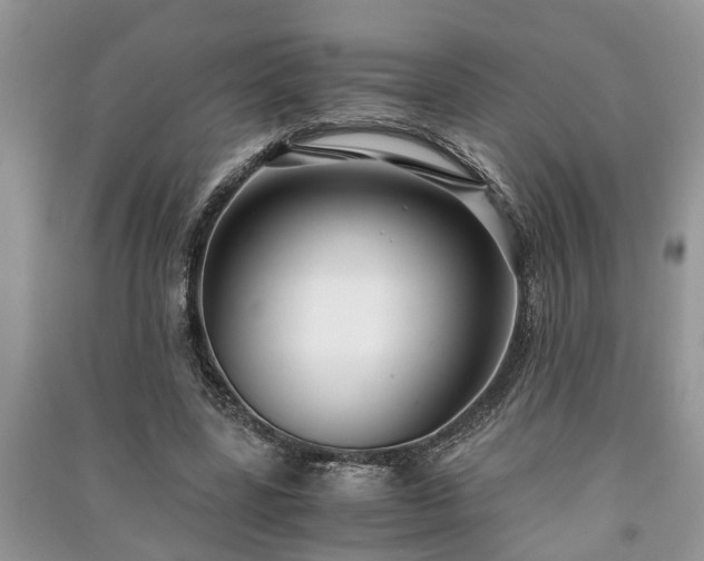 X0000091060539200708131132