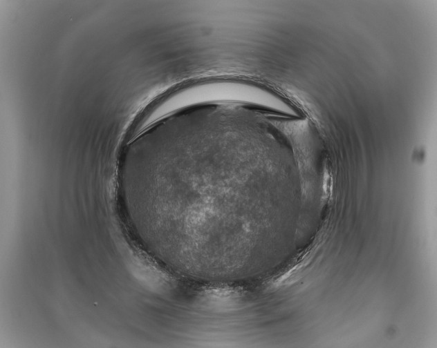 X0000091060540200708131132
