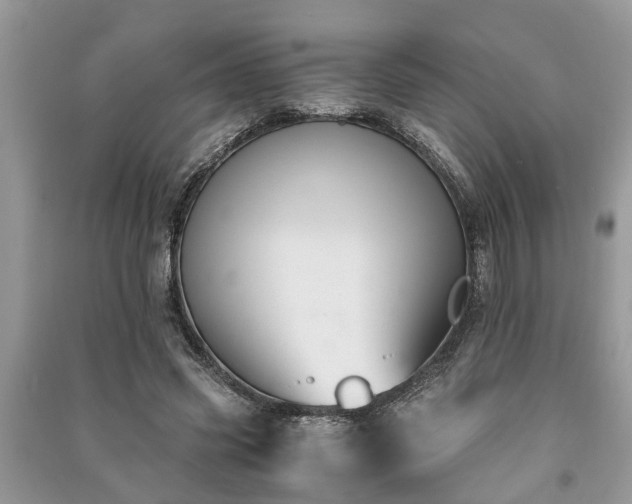X0000091060541200708131132