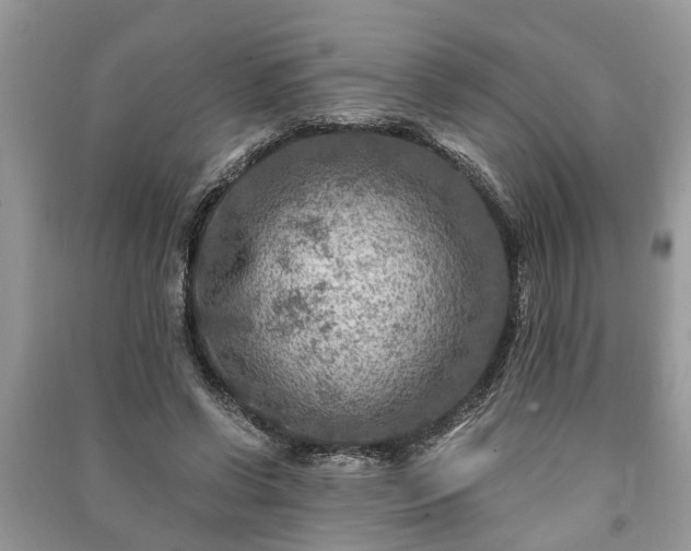 X0000091060542200708131132