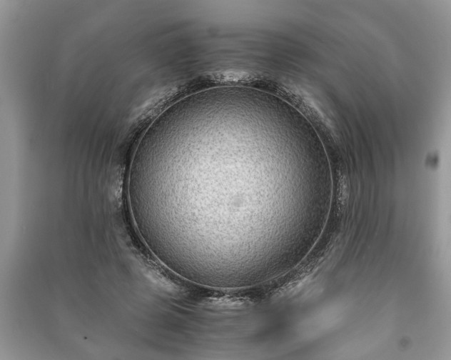 X0000091060545200708131132
