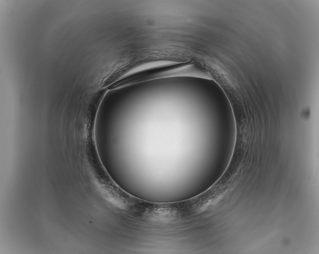 X0000091060546200708131132