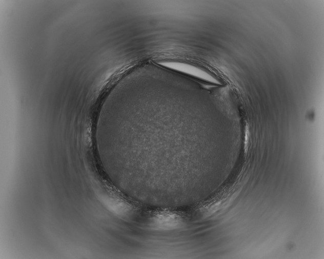 X0000091060547200708131132