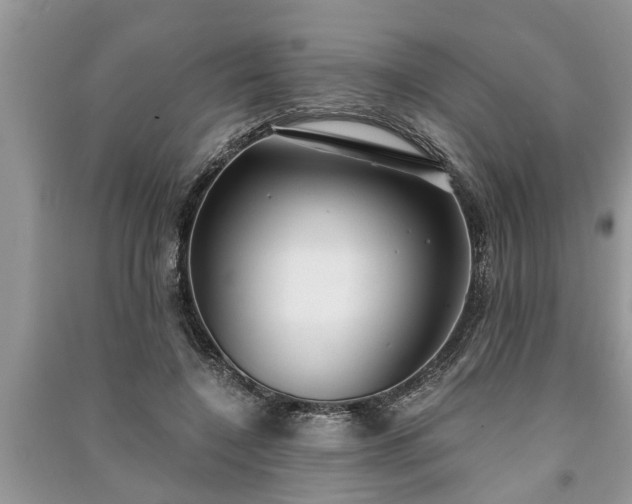 X0000091060548200708131132