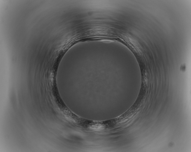X0000091060551200708131132