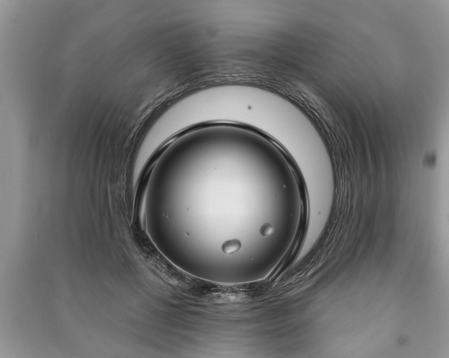 X0000091060552200708131132