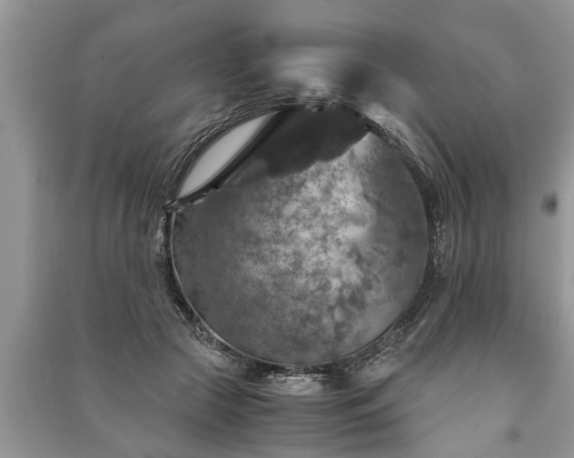 X0000091060553200708131132