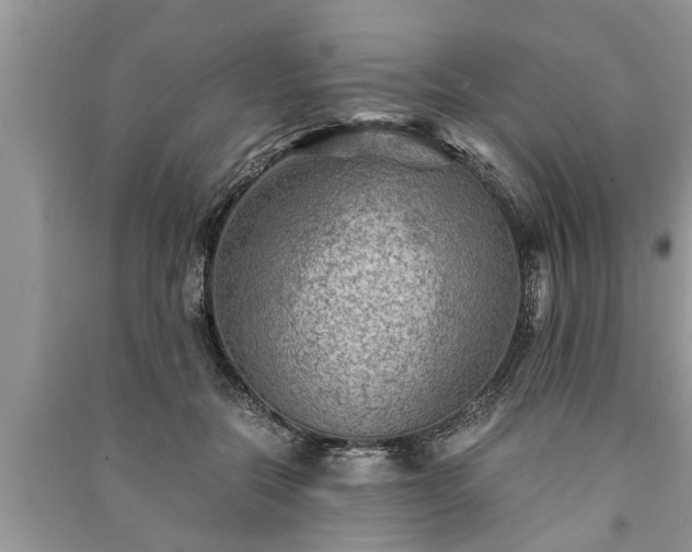 X0000091060554200708131132