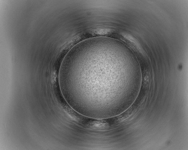X0000091060555200708131132