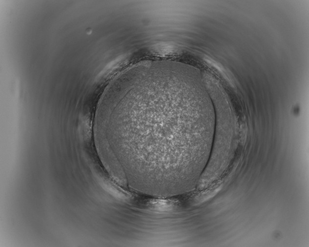 X0000091060558200708131132