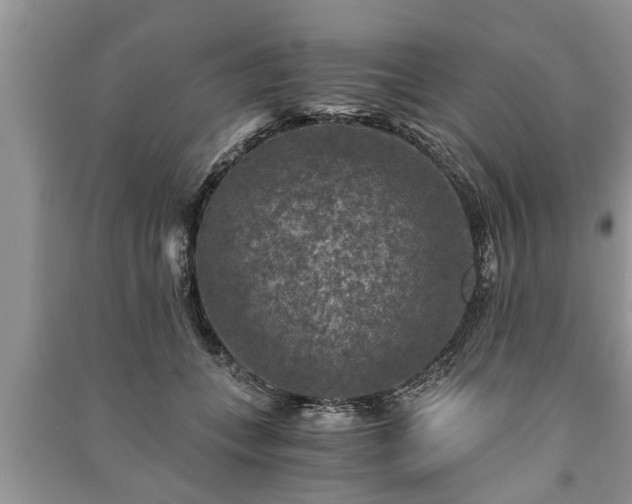 X0000091060559200708131132