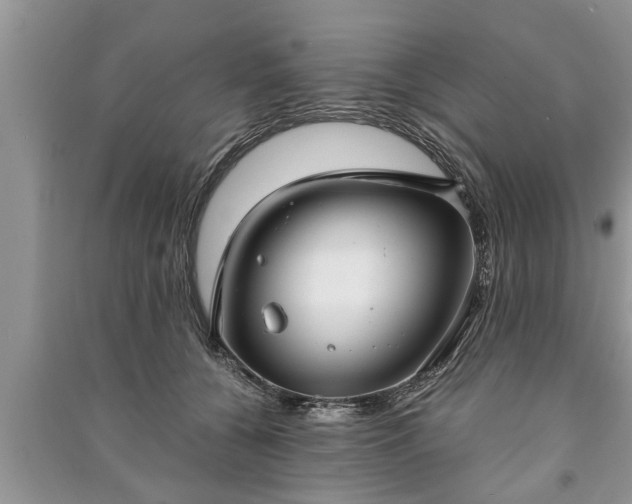 X0000091060560200708131132