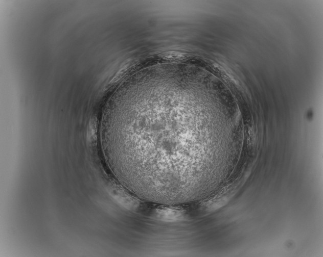 X0000091060561200708131133