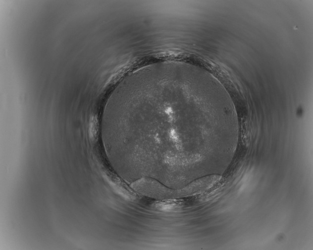 X0000091060563200708131133