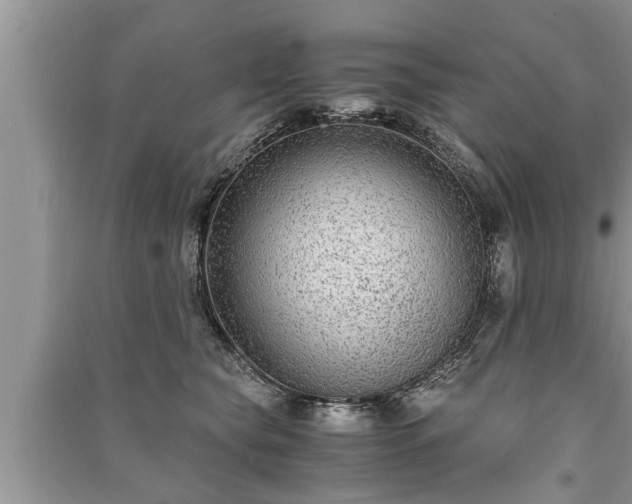 X0000091060565200708131133
