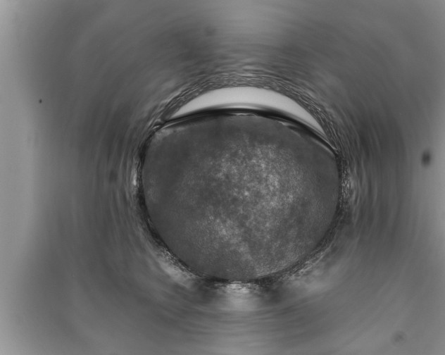 X0000091060566200708131133