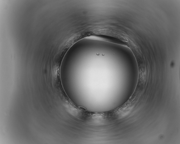 X0000091060574200708131133
