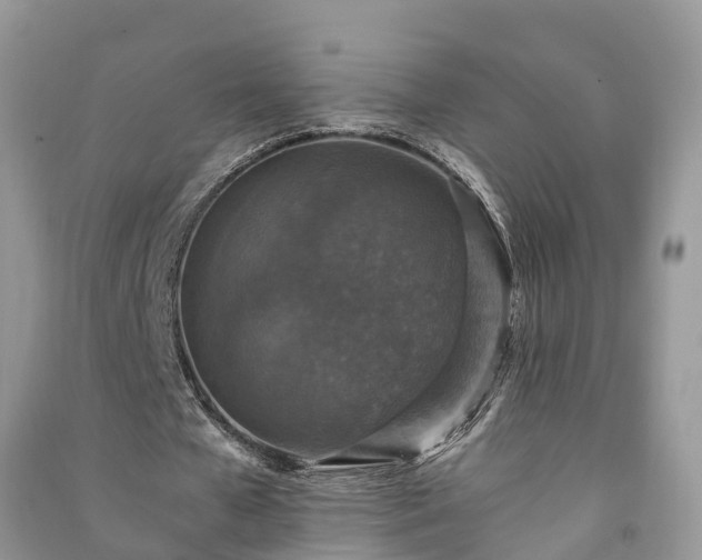 X0000091060577200708131132