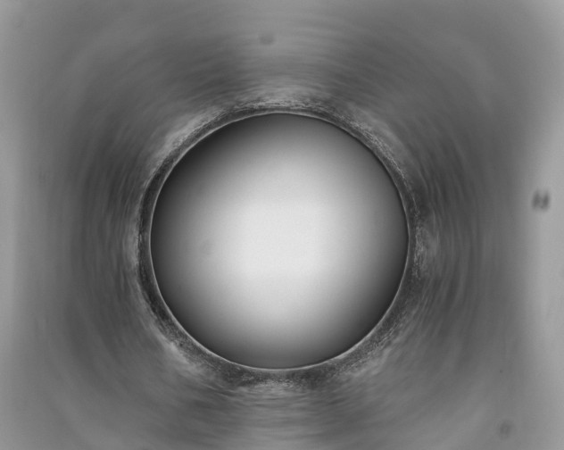 X0000091060578200708131132