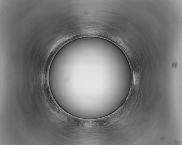 X0000091060579200708131132