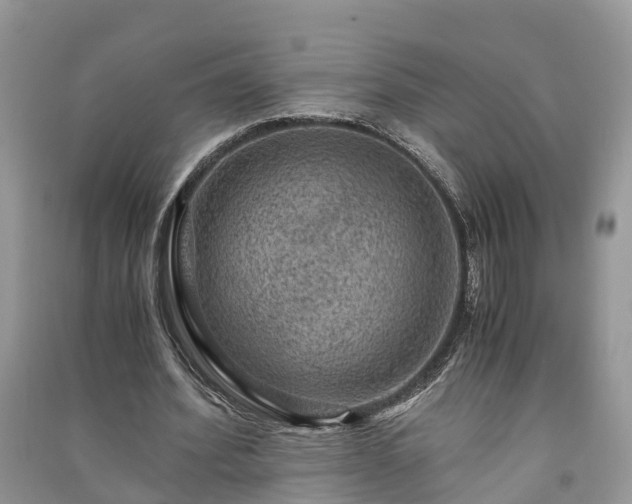 X0000091060580200708131132