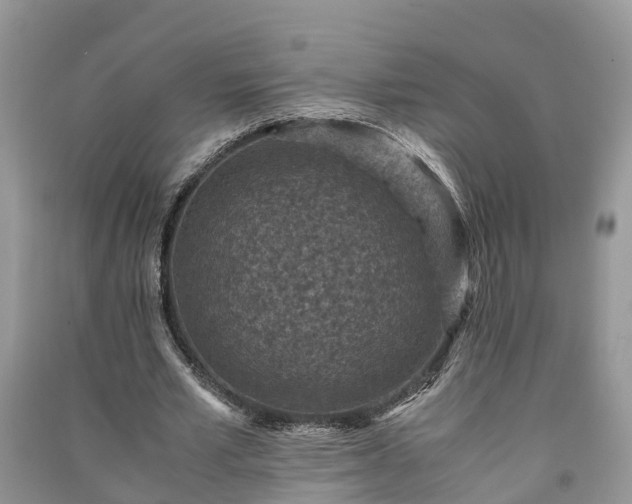 X0000091060581200708131132