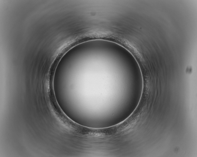 X0000091060582200708131132