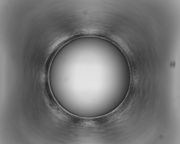 X0000091060583200708131132