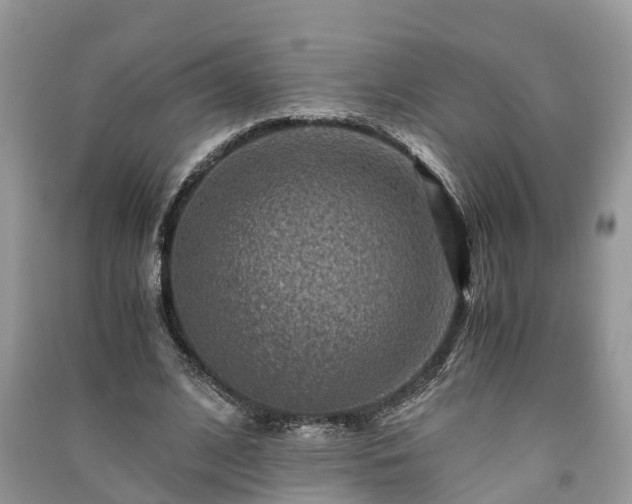 X0000091060584200708131132