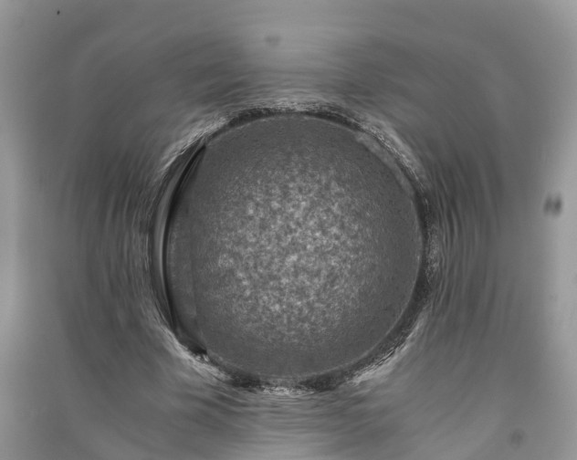 X0000091060585200708131132